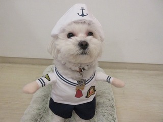 1.24coco4歳.jpg