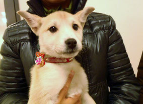 2013.2.23とち♪との出逢い.jpg