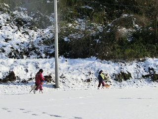 2015.1.16.雪の中の散歩.jpg