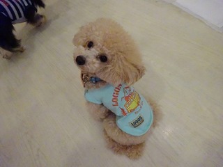 DSC00013.jpg