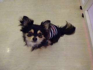 DSC00014.jpg