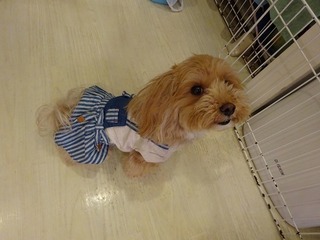DSC00015.jpg