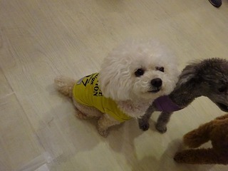 DSC00018.jpg
