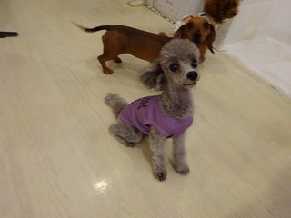 DSC00021.jpg