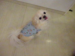 DSC00022.jpg