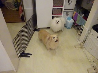 DSC00028.jpg