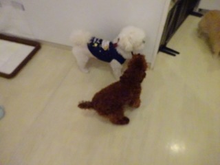 DSC00029.jpg