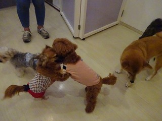 DSC00032.jpg