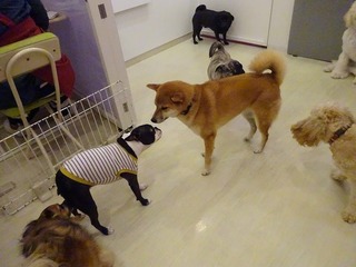 DSC00035.jpg