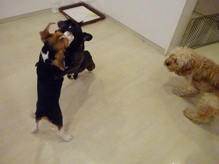 DSC00050.jpg