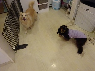 DSC00061.jpg