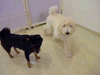 DSC00069.jpg