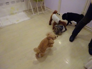 DSC00090.jpg