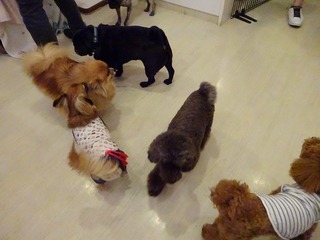 DSC00097.jpg