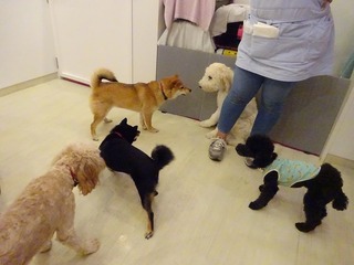 DSC00099.jpg