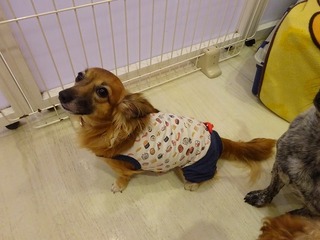 DSC00109.jpg