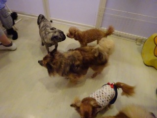 DSC00117.jpg