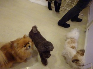 DSC00123.jpg