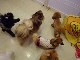 DSC00125.jpg