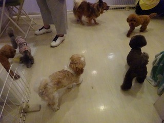 DSC00131.jpg