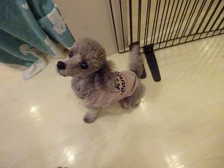 DSC00134.jpg