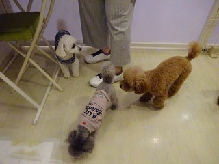 DSC00139.jpg