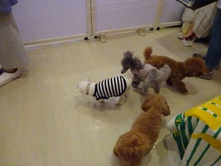 DSC00140.jpg