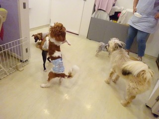 DSC00152.jpg