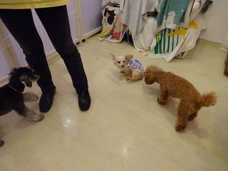 DSC00163.jpg