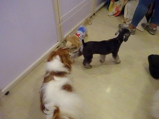 DSC00166.jpg