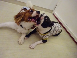 DSC00175.jpg