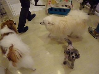 DSC00175.jpg