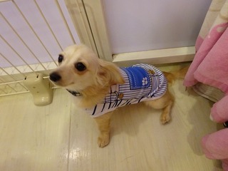 DSC00177.jpg