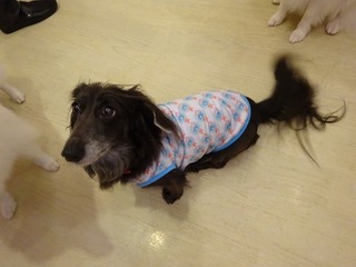 DSC00179.jpg