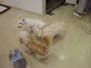 DSC00191.jpg