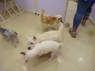 DSC00192.jpg