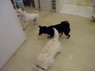 DSC00202.jpg