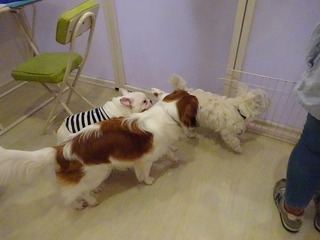 DSC00205.jpg