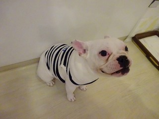 DSC00215.jpg