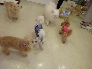 DSC00224.jpg
