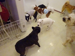 DSC00226.jpg