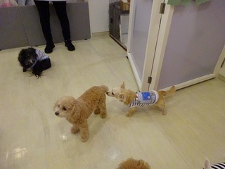 DSC00235.jpg
