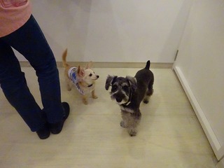 DSC00240.jpg