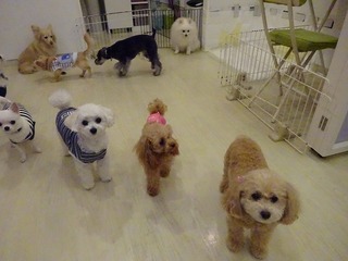 DSC00244.jpg