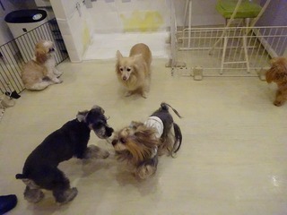 DSC00264.jpg