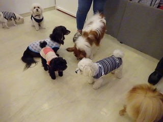 DSC00284.jpg