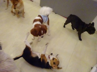 DSC00288.jpg