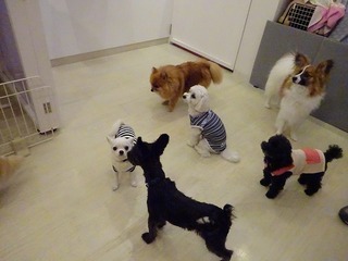 DSC00297.jpg