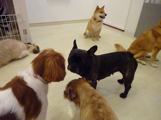 DSC00309.jpg