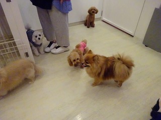 DSC00310.jpg